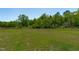 Lush backyard features a sprawling green lawn at 80 Doonbeg Dr, Fuquay Varina, NC 27526