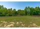 Expansive backyard featuring a grassy lawn and mature trees, offering a serene outdoor space at 80 Doonbeg Dr, Fuquay Varina, NC 27526