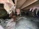 Photograph of the crawlspace showing wooden beams, old insulation, and some debris at 827 Sunset Ave, Rocky Mount, NC 27804
