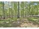 A backyard surrounded by lush trees, giving a private and natural setting at 8407 Millers Bnd, Bahama, NC 27503