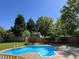 Backyard pool features a custom shape, ladder, and concrete patio at 102 Traviliah Oaks Ln, Cary, NC 27518