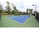 Community pickleball courts featuring well-maintained blue courts, lighting for evening play, and spectator seating at 1208 Steinbeck Dr, Durham, NC 27703