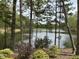 Serene lake view framed by lush trees, offering a peaceful and picturesque natural setting at 25303 Ludwell, Chapel Hill, NC 27517