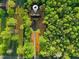 A lush treeline surrounds this home with a long private driveway at 580 Greenbriar Farm Trl, Siler City, NC 27344