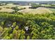 Aerial view showcasing lush trees surrounding the home and picturesque open fields at 580 Greenbriar Farm Trl, Siler City, NC 27344