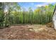 A large backyard with a wooded backdrop and an area for gardening at 580 Greenbriar Farm Trl, Siler City, NC 27344
