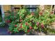 Vibrant rose bushes adorn the front porch, adding a touch of beauty and charm to this home's exterior at 85 Rivers Edge Ct, Timberlake, NC 27583