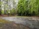 Well maintained community basketball court surrounded by lush, mature trees at 8805 Stage Ford Rd, Raleigh, NC 27615