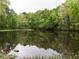 Scenic view of a tranquil pond reflecting the surrounding lush greenery and trees at 8805 Stage Ford Rd, Raleigh, NC 27615