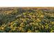 Stunning aerial view of a wooded lot at sunset, revealing a picturesque landscape bathed in golden light at 000 Olivia Pope Way, Efland, NC 27243