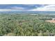 Elevated aerial image of verdant tree canopy, presenting the property as a peaceful, wooded retreat at 000 Olivia Pope Way, Efland, NC 27243