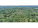 Wide aerial perspective of densely forested land, emphasizing the property's vastness and natural surroundings at 000 Olivia Pope Way, Efland, NC 27243