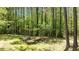 Backyard fire pit area with frame sitting among the trees and green grass at 105 Coral Ridge Cir, Franklinton, NC 27525