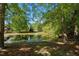 Scenic view of a tranquil pond surrounded by lush trees and greenery, creating a peaceful natural oasis at 121 Westchase Run, Sanford, NC 27330