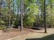 Wooded backyard featuring play structure and trampoline at 1305 Reservoir View Ln, Wake Forest, NC 27587