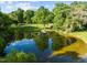 An aerial view showcases a tranquil pond, serene dock, and lush trees at 2509 Nc 57, Hillsborough, NC 27278