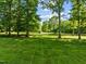 Large backyard with mature trees and verdant ground cover at 2509 Nc 57, Hillsborough, NC 27278