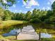 Picturesque pond with wooden dock surrounded by lush greenery and trees at 2509 Nc 57, Hillsborough, NC 27278
