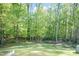 Lush backyard with mature trees, a well-manicured lawn, and several garden beds for planting at 3819 Valleydale Dr, Durham, NC 27703