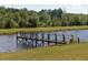 A wooden dock leads out onto the serene pond surrounded by lush greenery and trees at 481 Firetower Rd, Louisburg, NC 27549