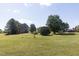 Expansive front yard featuring mature trees and well-maintained green space at 481 Firetower Rd, Louisburg, NC 27549