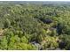 An aerial view of the verdant and expansive tree canopy surrounding the property at 4924 Theys Rd, Raleigh, NC 27606