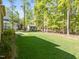Well-maintained backyard with lush green grass and mature trees at 4924 Theys Rd, Raleigh, NC 27606