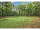 Expansive yard with lush green grass surrounded by tall, mature trees at 6121 Kelvin Dr, Durham, NC 27712