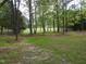 Wide-angle view of large backyard featuring a lush lawn and beautiful trees at 1165 John Mitchell Rd, Youngsville, NC 27596
