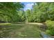 Calm pond surrounded by trees and grassy shoreline offers a serene outdoor space at 1835 Pearidge Rd, Angier, NC 27501