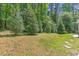 Expansive backyard, lined by mature trees, offers privacy and natural beauty at 205 Sacred Fire Rd, Louisburg, NC 27549