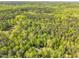 Overhead image capturing extensive forest area with a home and driveway visible among the dense trees at 480 Big Branch Dr, Pittsboro, NC 27312