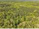 Expansive aerial perspective of verdant forest landscape with a single residence tucked within the trees at 480 Big Branch Dr, Pittsboro, NC 27312