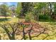 Backyard garden area featuring a framed growing area, lush greenery, and a storage shed at 530 Turlington Rd, Dunn, NC 28334