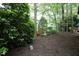 Beautiful back yard featuring mature trees and serene landscaping at 6022 Four Townes Lane Ln, Raleigh, NC 27616