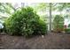 Spacious back yard with lush landscaping and mature trees offering plenty of shade at 6022 Four Townes Lane Ln, Raleigh, NC 27616