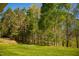 Beautifully landscaped backyard with a large lawn and surrounding trees at 7371 Leasburg Rd, Roxboro, NC 27574