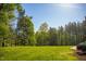 Expansive backyard with lush green grass and mature trees at 7371 Leasburg Rd, Roxboro, NC 27574