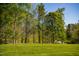 Picturesque backyard featuring a large lawn area and surrounding trees at 7371 Leasburg Rd, Roxboro, NC 27574