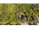 Aerial view of a house nestled in lush trees surrounded by dense foliage at 110 Omega Rd, Henderson, NC 27536