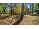 Back view of a brick home showcasing the house in a peaceful, wooded backyard setting at 110 Omega Rd, Henderson, NC 27536
