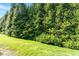 Manicured backyard showcasing lush greenery, beautiful plants, and a well-maintained lawn at 135 Cedar Elm Rd, Durham, NC 27713