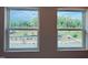 Two windows displaying lovely views of a vibrant green field and trees under a bright, sunny sky at 14 Relaxing Way, Pittsboro, NC 27312