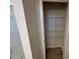 A tidy walk-in closet featuring wire shelving at 182 E Victory View Ter, Smithfield, NC 27577