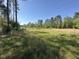 Large grassy field with trees at 226 Kandypoo Dr, Four Oaks, NC 27524