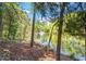 Scenic view of a pond with a fountain, surrounded by lush greenery and mature trees at 3411 Massey Pond Trl, Raleigh, NC 27616