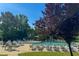 Community swimming pool with many lounge chairs and a background of trees at 3411 Massey Pond Trl, Raleigh, NC 27616