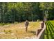 Tranquil country scene of a pasture with a donkey, wooden fence, and beautiful trees in the background at 3704 Hesters Store Rd, Hurdle Mills, NC 27541