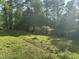 View of a large backyard area with lush green vegetation and trees at 529 Sunset Dr, Fuquay Varina, NC 27526