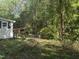 Wooded backyard with lush foliage, featuring a small storage shed and natural growth at 529 Sunset Dr, Fuquay Varina, NC 27526